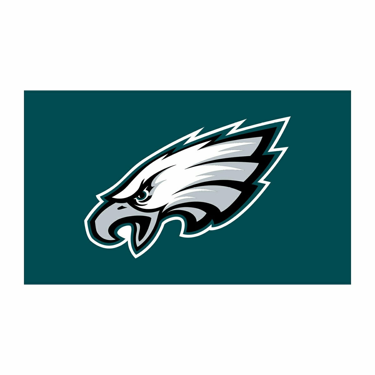 Full Color PVC Mat, 16" x 28", Philadelphia Eagles, NFL