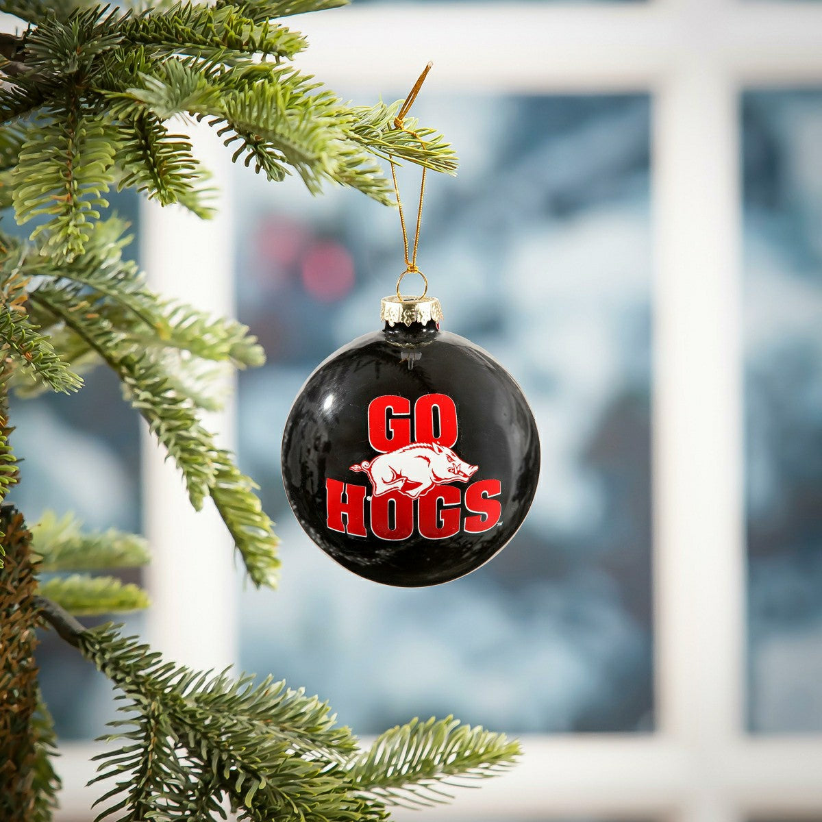 Blown Glass Ornament, University of Arkansas, Collegiate, Home