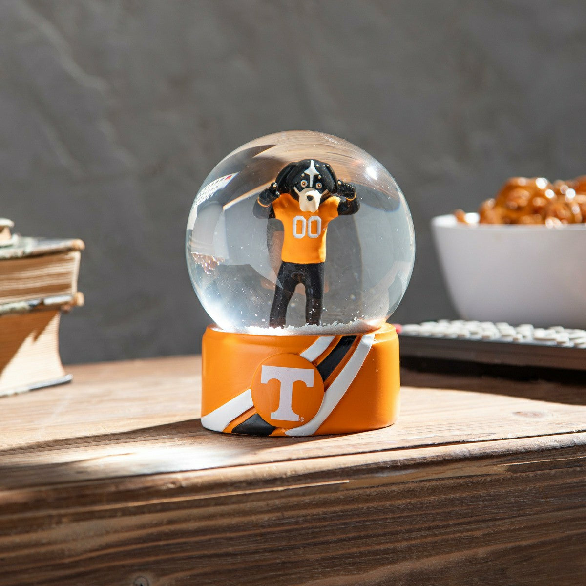 Water Globe, University of Tennessee, Collegiate, Home