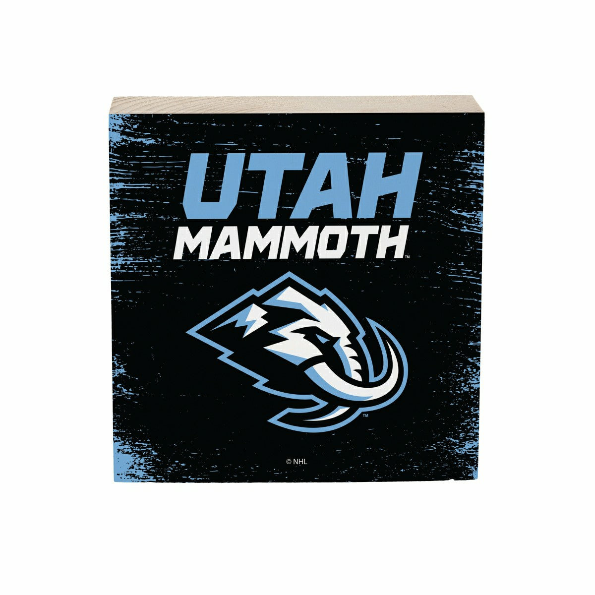 Utah Hockey Club Plock, Down Home Fans, 6x6, Home