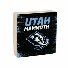 Utah Hockey Club Plock, Down Home Fans, 6x6, Home